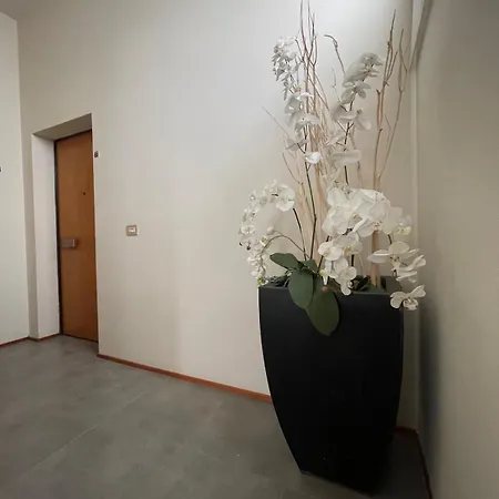 شقة New Apartment-sotto La Torre